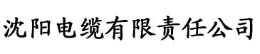 久久精品中文字幕无码首页电缆厂logo